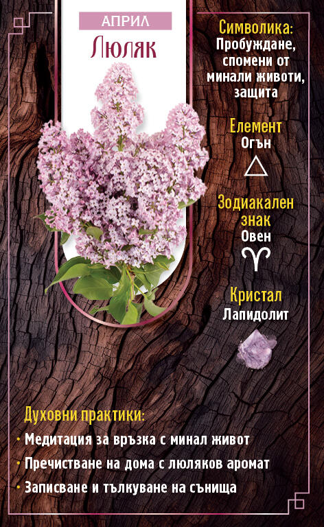Годишен дневник 2026