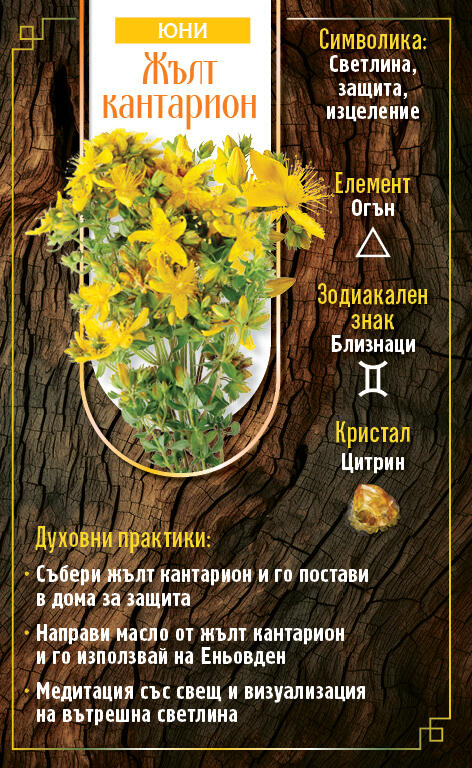 Годишен дневник 2026