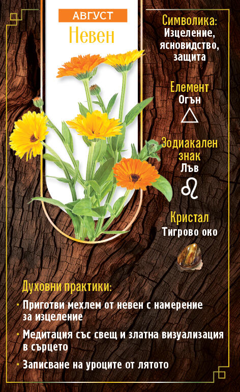 Годишен дневник 2026