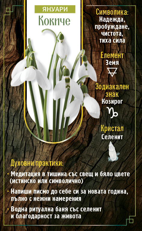 Годишен дневник 2026